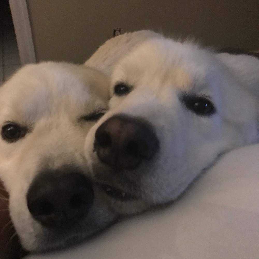 Meet your Posher, Jonathan